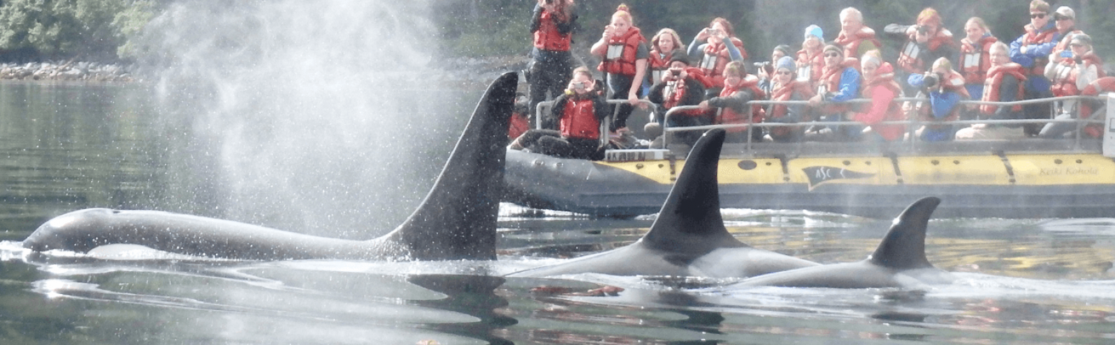 home-hero-pnw1-1400x624